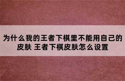 为什么我的王者下棋里不能用自己的皮肤 王者下棋皮肤怎么设置